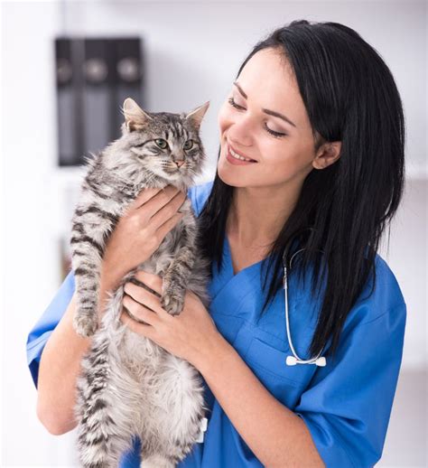 village veterinary clinic mayfield.